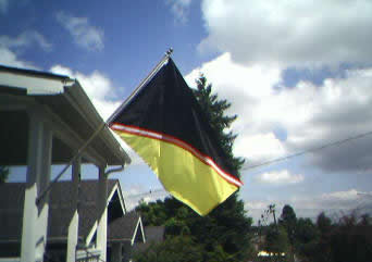 Free-market anarchism flag flying